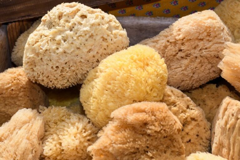 NIYANGLE Crab Sponge Crab Sponges Yellow Maintaining Humidity Daily